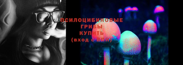 трава Елабуга