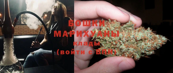 трава Елабуга